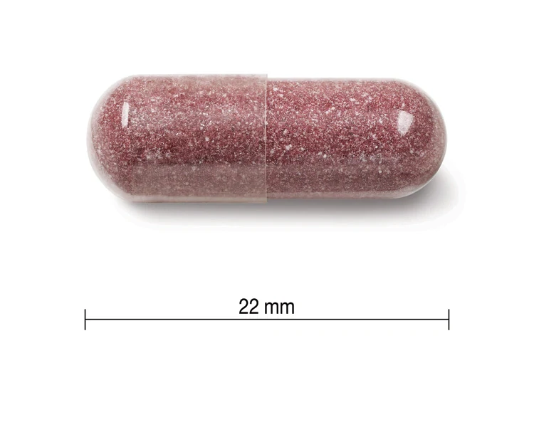 Jamieson Brusnice – komplex 500mg 60kapsúl