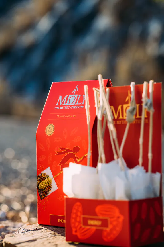 Prémiový BIO bylinkový čaj MOLY Energy - 23g