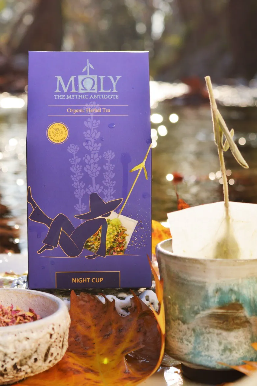 Prémiový BIO bylinkový čaj MOLY Night Cup - 20g